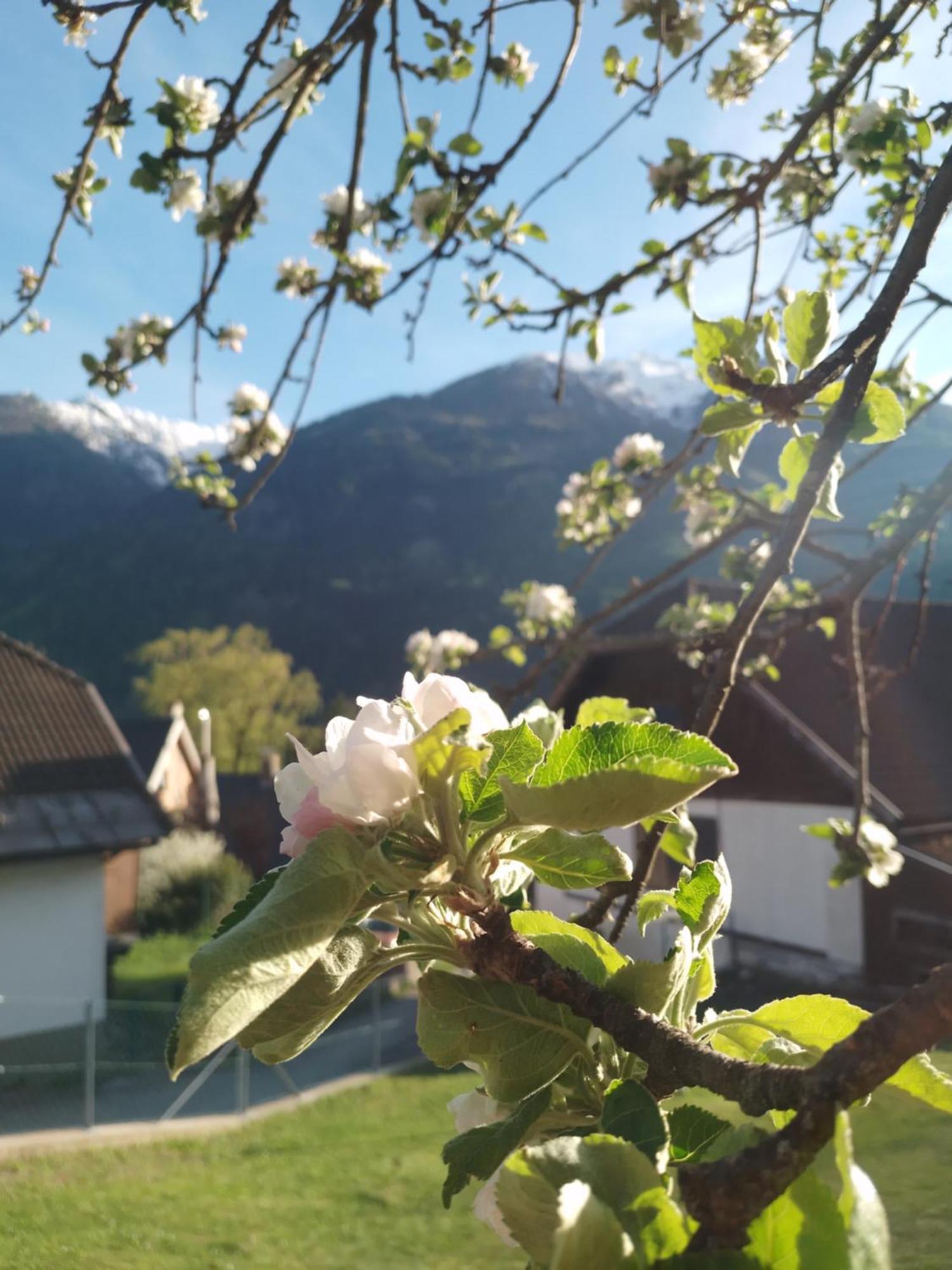 Ferienhaus Herrenschmiede Obervellach Exterior foto